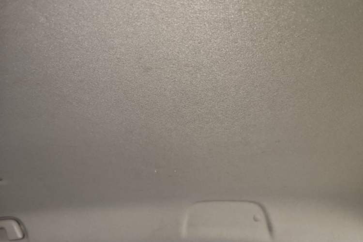 Used ORA Black Cat 2019 351 km Family Edition Headliner