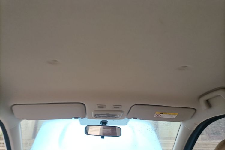 Used ORA Black Cat 2019 351 km Fun Edition Headliner
