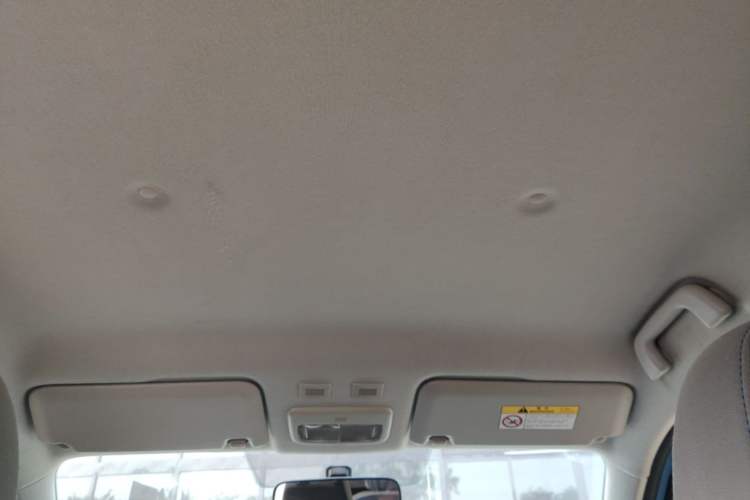 Used ORA Black Cat 2019 310km Fun Edition Headliner
