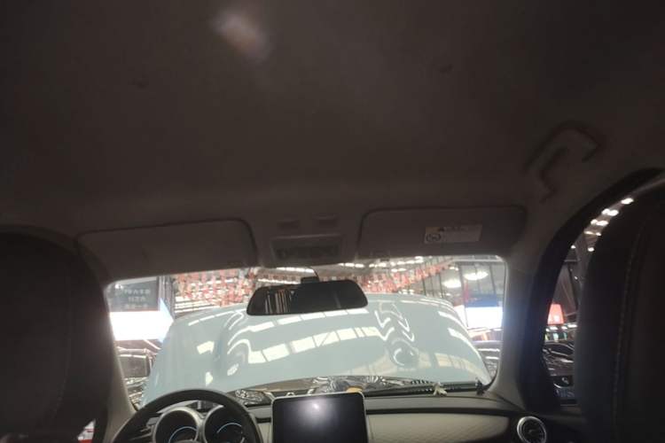 Used ORA Black Cat 2019 351 km Family Edition Headliner