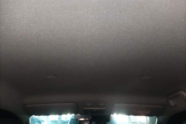 Used ORA Black Cat 2019 351 km Goddess Edition Headliner
