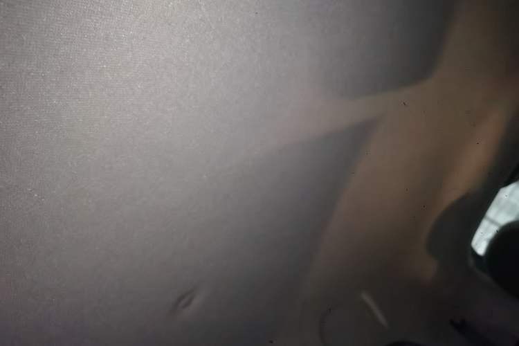 Used ORA Black Cat 2019 301km Standard Edition Headliner