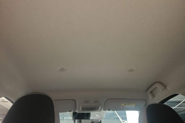 Used ORA Black Cat 2019 351 km Goddess Edition Headliner