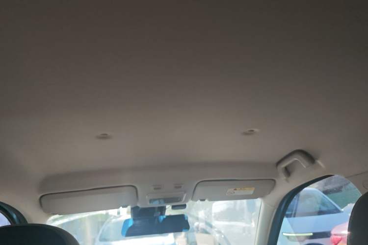 Used ORA Black Cat 2019 351 km Goddess Edition Headliner