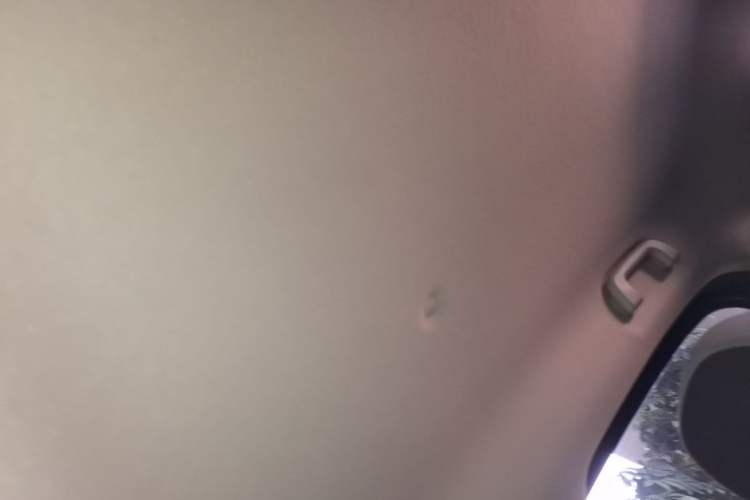 Used ORA Black Cat 2019 351 km Lingzhi Edition Headliner