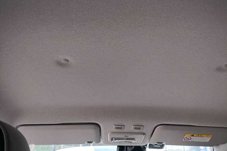 Used ORA Black Cat 2019 351 km Goddess Edition Headliner