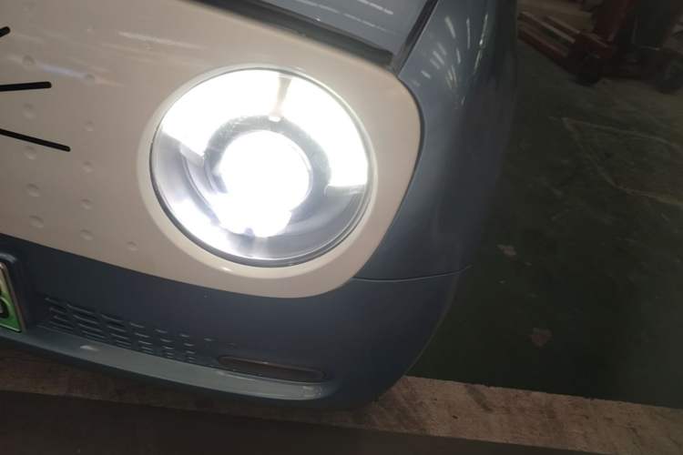 Used ORA Black Cat 2019 351 km Family Edition Left Front Headlight