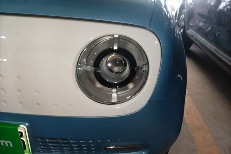 Used ORA Black Cat 2019 351 km Goddess Edition Left Front Headlight