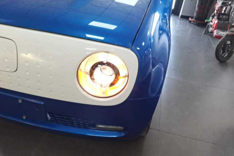 Used ORA Black Cat 2019 351 km Lingzhi Edition Left Front Headlight