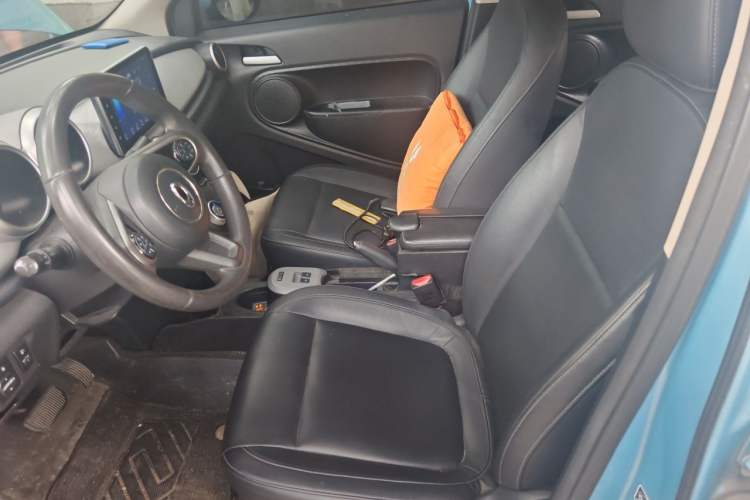 Used ORA Black Cat 2019 351 km Family Edition Left Front Seat