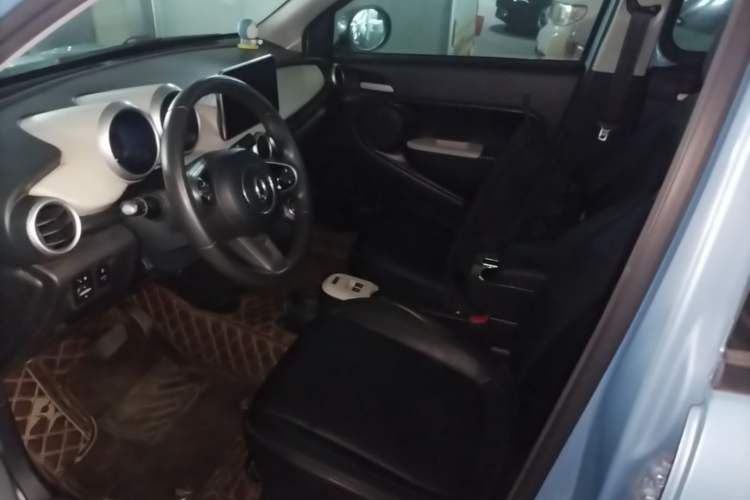 Used ORA Black Cat 2019 351 km Goddess Edition Left Front Seat
