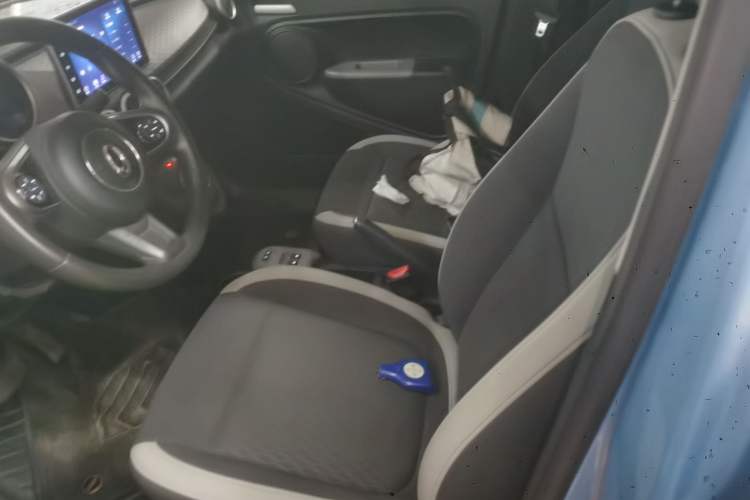 Used ORA Black Cat 2019 301km Standard Edition Left Front Seat