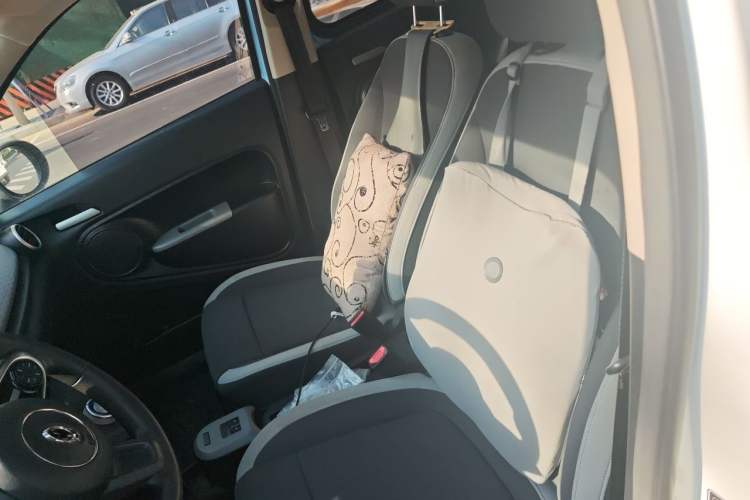 Used ORA Black Cat 2019 351 km Goddess Edition Left Front Seat
