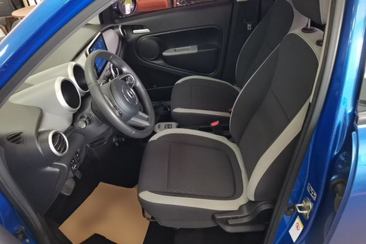 Used ORA Black Cat 2019 351 km Lingzhi Edition Left Front Seat