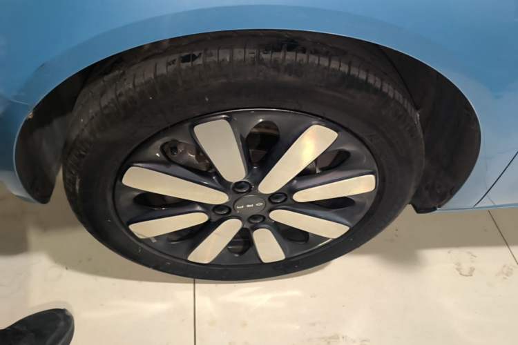 Used ORA Black Cat 2019 351 km Family Edition Left Front Wheel Hub