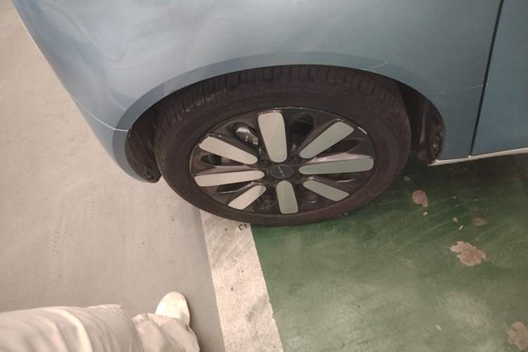 Used ORA Black Cat 2019 351 km Family Edition Left Front Wheel Hub