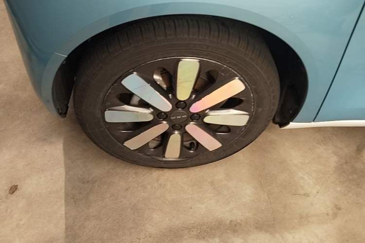 Used ORA Black Cat 2019 351 km Goddess Edition Left Front Wheel Hub