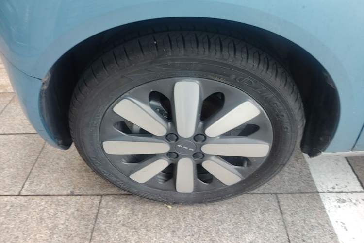Used ORA Black Cat 2019 351 km Family Edition Left Front Wheel Hub