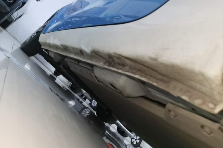 Used ORA Black Cat 2019 351 km Fun Edition Left Side Sill