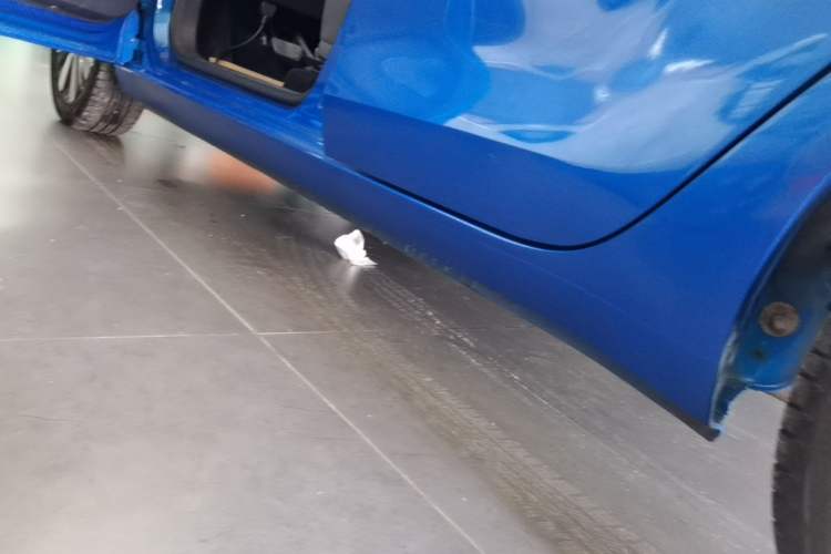 Used ORA Black Cat 2019 351 km Lingzhi Edition Left Side Sill