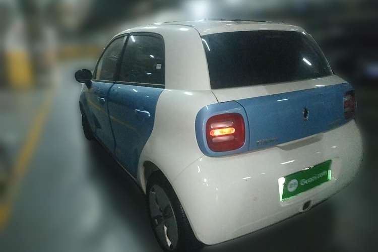 Used ORA Black Cat 2019 310km Fun Edition Rear Left 45 Deg