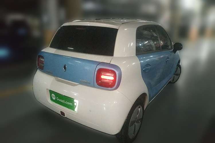 Used ORA Black Cat 2019 310km Fun Edition Rear Right 45 Deg