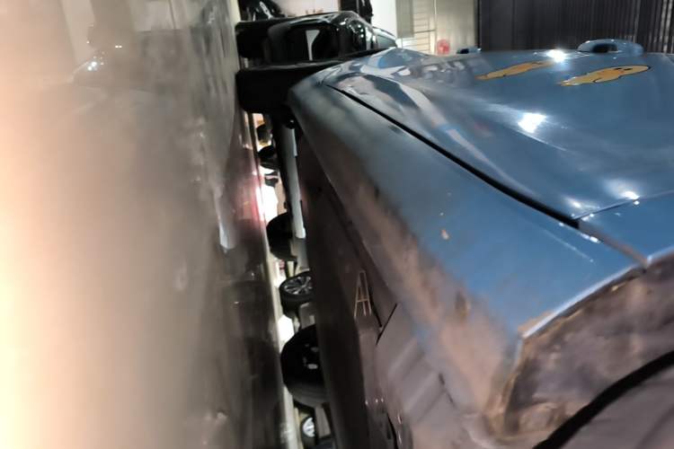 Used ORA Black Cat 2019 351 km Family Edition Right Side Sill