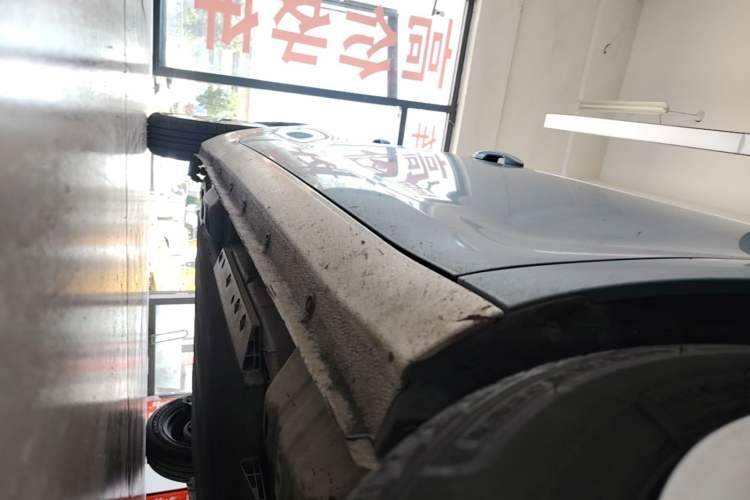 Used ORA Black Cat 2019 351 km Fun Edition Right Side Sill