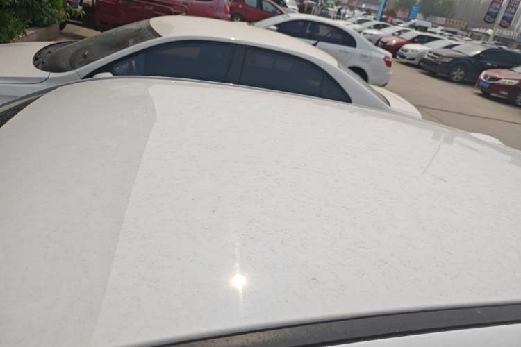 Used ORA Black Cat 2019 301km Standard Edition Roof