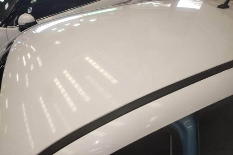 Used ORA Black Cat 2019 351 km Family Edition Roof