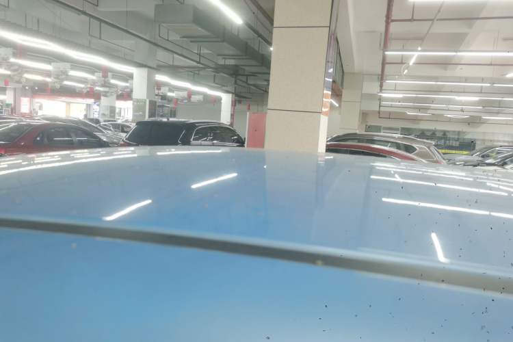 Used ORA Black Cat 2019 301km Standard Edition Roof