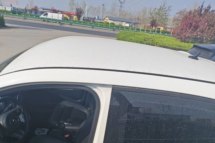 Used ORA Black Cat 2019 351 km Family Edition Roof