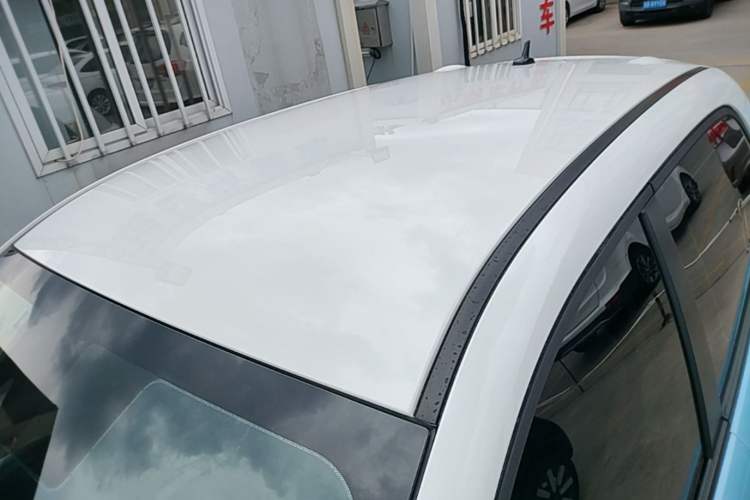 Used ORA Black Cat 2019 351 km Goddess Edition Roof