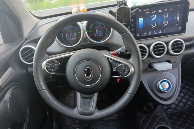 Used ORA Black Cat 2019 351 km Family Edition Steering Wheel