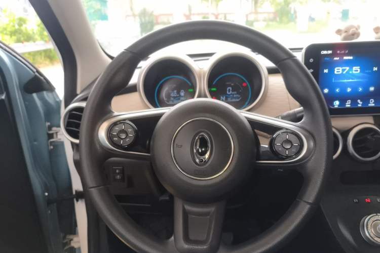 Used ORA Black Cat 2019 301km Standard Edition Steering Wheel
