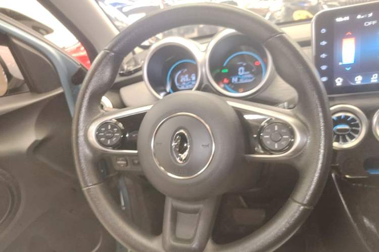 Used ORA Black Cat 2019 351 km Family Edition Steering Wheel