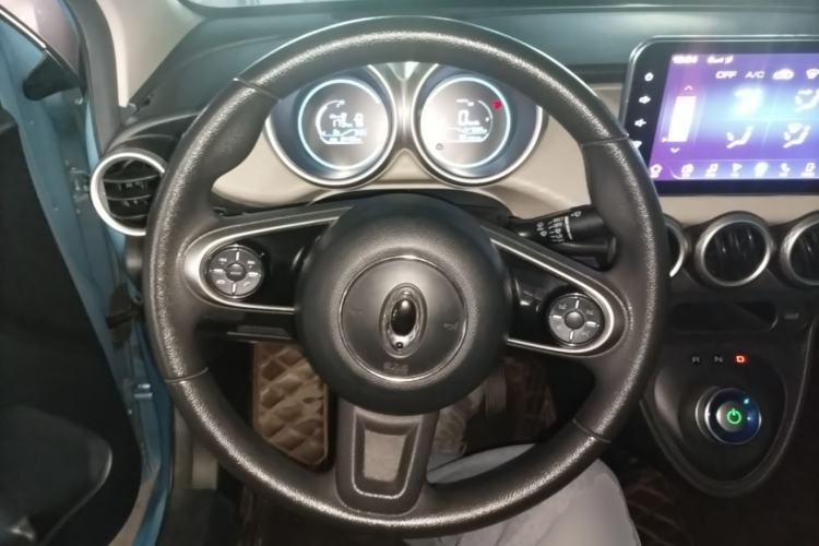 Used ORA Black Cat 2019 351 km Goddess Edition Steering Wheel