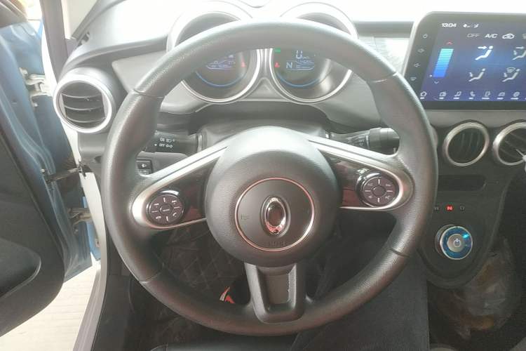 Used ORA Black Cat 2019 351 km Family Edition Steering Wheel