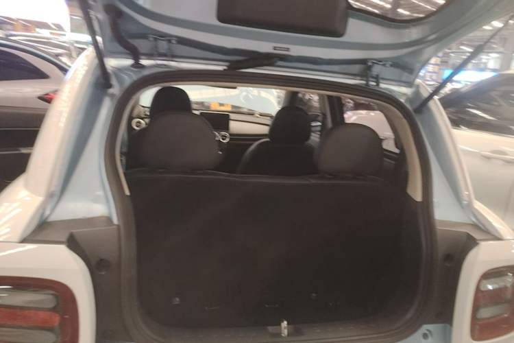 Used ORA Black Cat 2019 351 km Family Edition Trunk