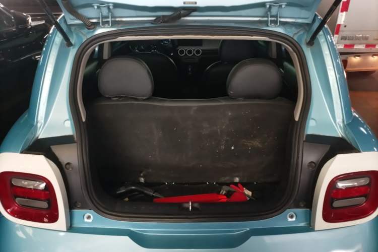 Used ORA Black Cat 2019 351 km Goddess Edition Trunk