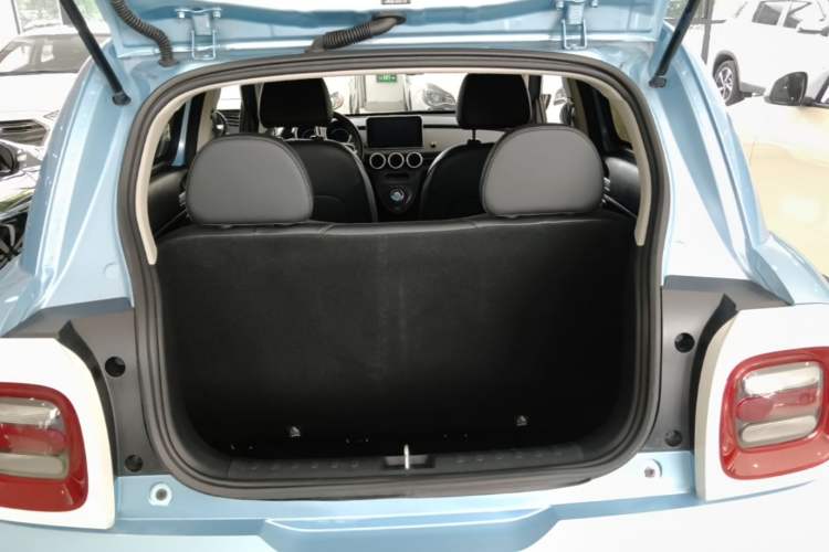 Used ORA Black Cat 2019 351 km Family Edition Trunk