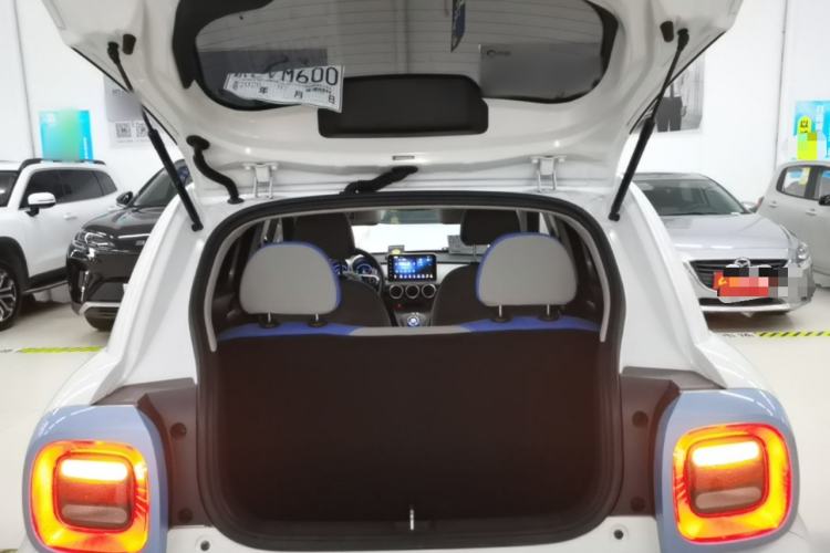 Used ORA Black Cat 2019 351 km Fun Edition Trunk