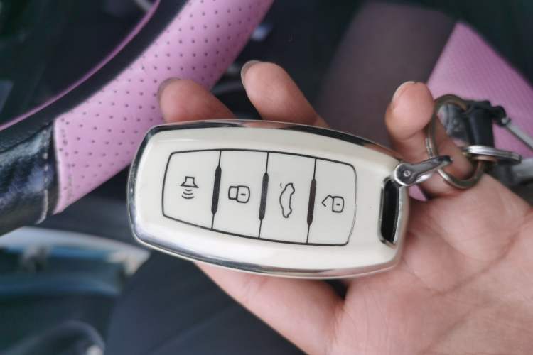 Used ORA Black Cat 2019 301km Standard Edition Vehicle Key
