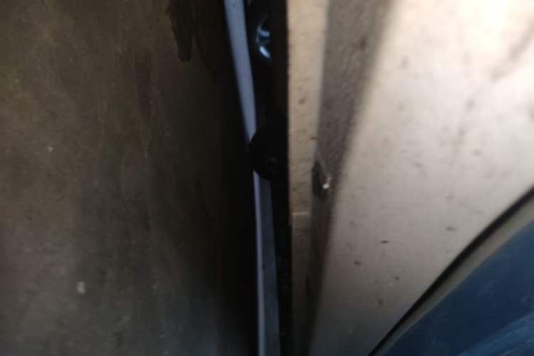 Used ORA Black Cat 2019 351 km Family Edition Chassis Front Left