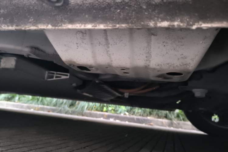 Used ORA Black Cat 2019 351 km Goddess Edition Chassis Front Right