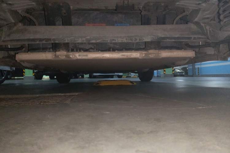Used ORA Black Cat 2019 351 km Family Edition Chassis Rear