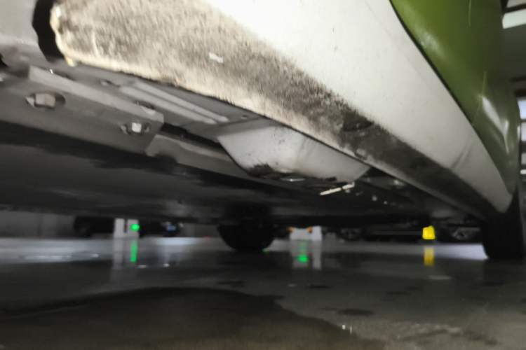 Used ORA Black Cat 2019 301km Standard Edition Chassis Rear Right
