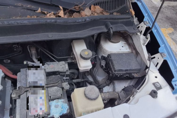 Used ORA Black Cat 2019 301km Standard Edition Engine Bay Left