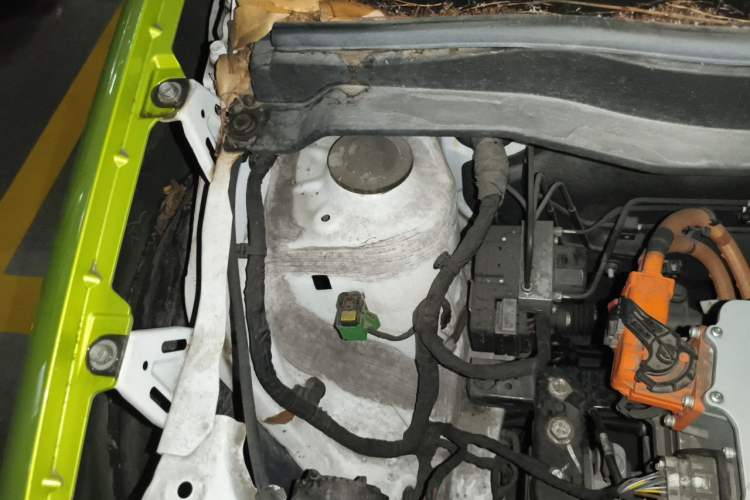 Used ORA Black Cat 2019 301km Standard Edition Engine Bay Right