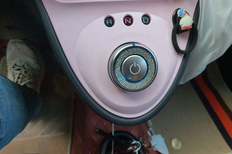 Used ORA Black Cat 2019 351 km Family Edition Gear Lever